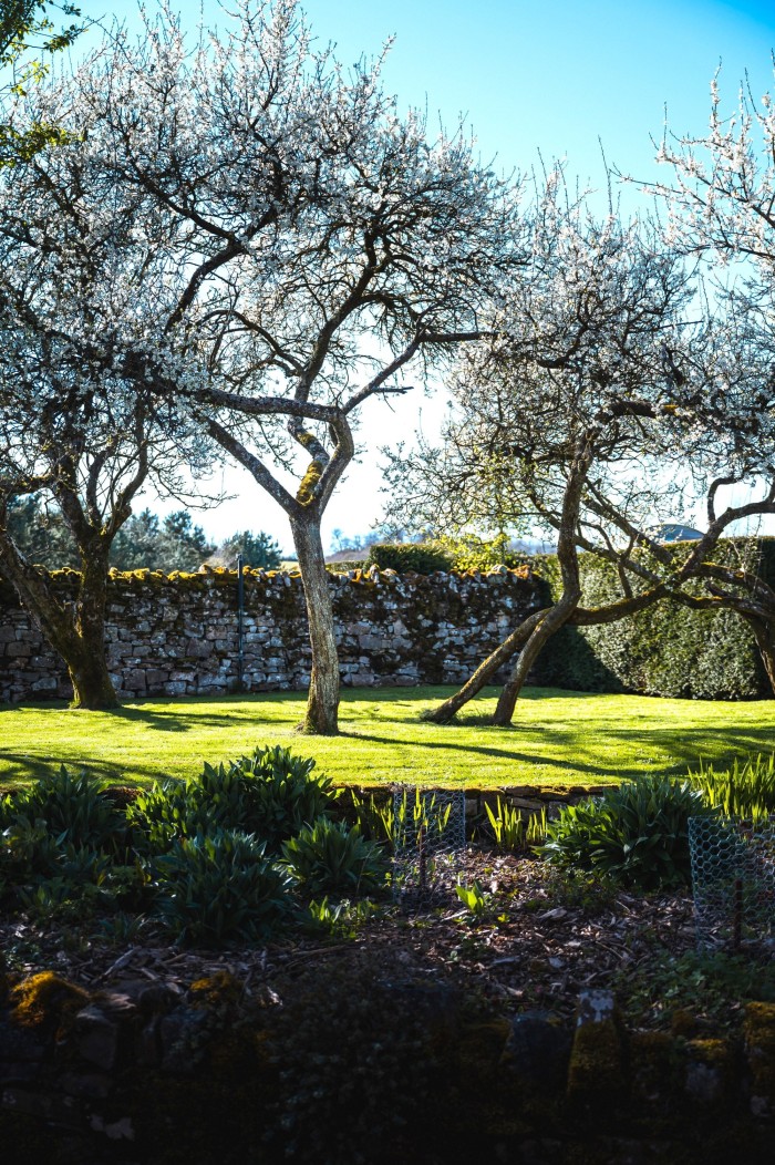 Ancient orchards and leisurely breakfasts