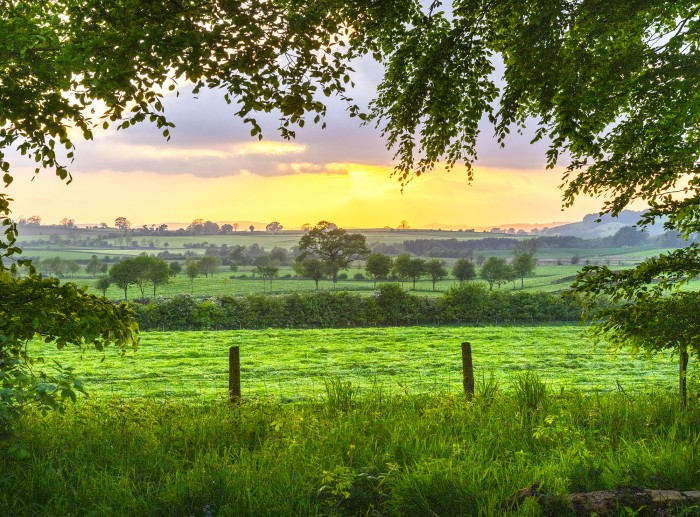 Escape to a serene cabin offering sweeping woodland and fellside views