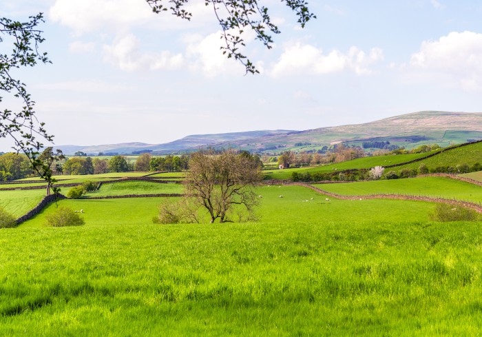 Escape to a serene cabin offering sweeping woodland and fellside views