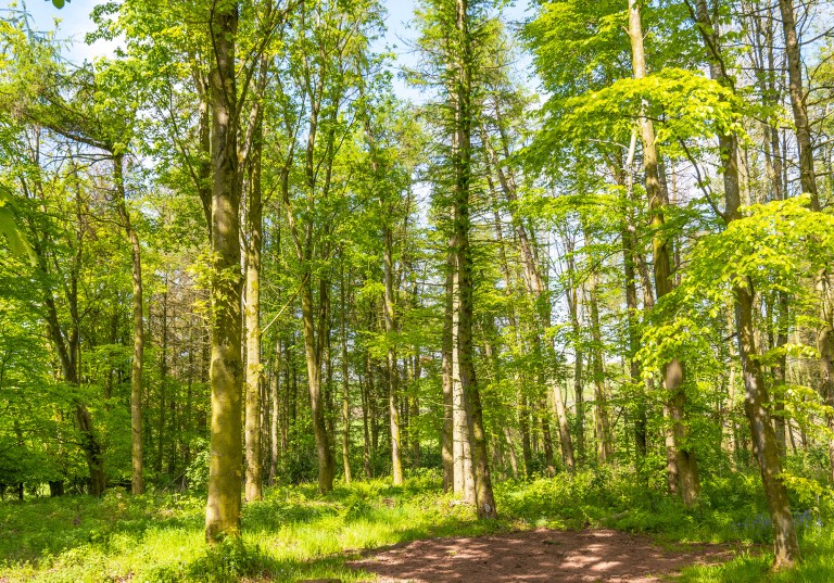 Soak in the fellside and woodland views from this peaceful retreat 