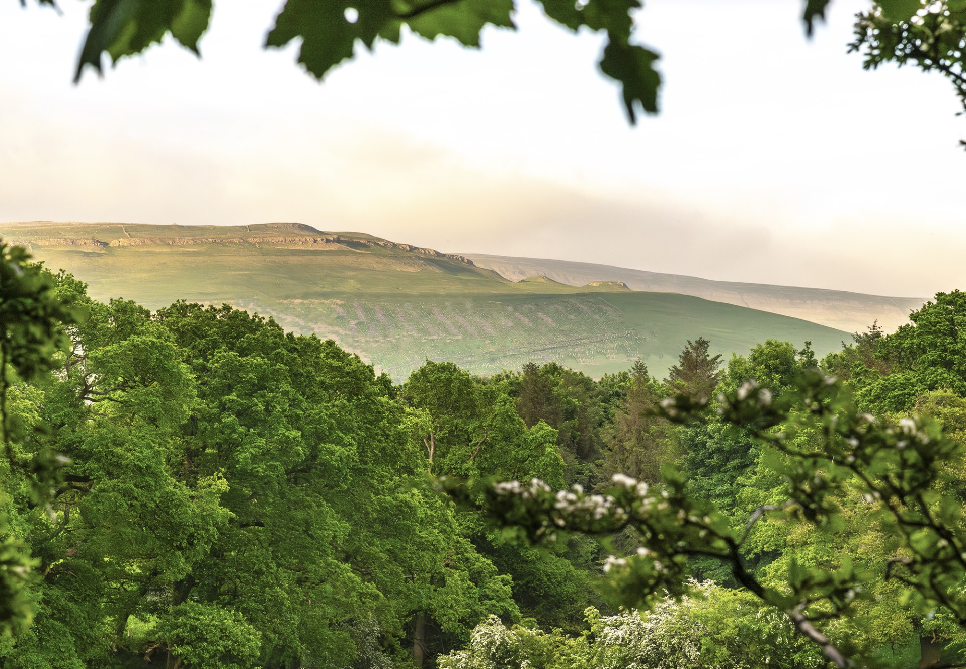 Maple-Retreat-lovely-view-towards-woodland-and-Pennine-fells-lake-district-cumbria-holidays