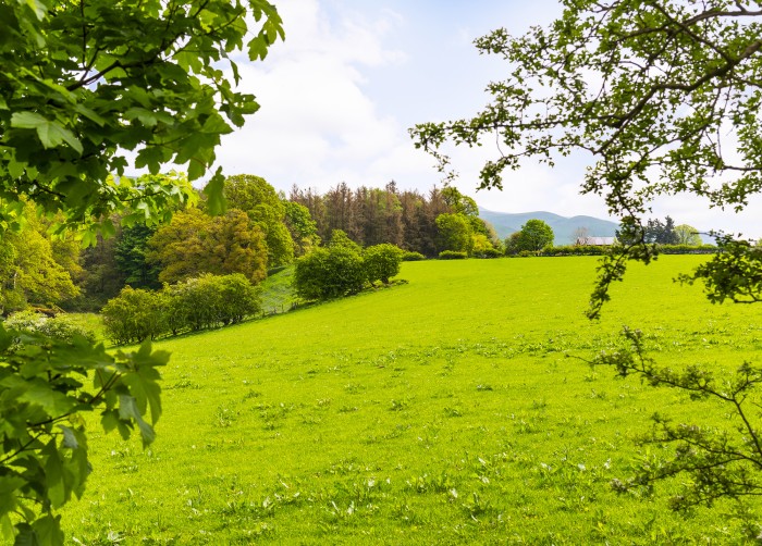 Soak in the fellside and woodland views from this peaceful retreat 