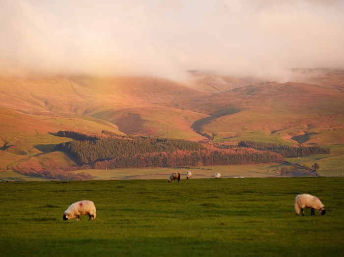 Soak in the fellside and woodland views from this peaceful retreat 